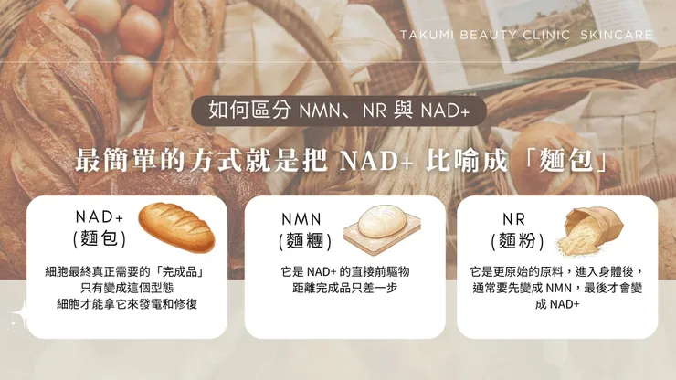 抗老神藥還是行銷噱頭？一文搞懂 NMN、NR 與 NAD+：別再傻傻分不清！