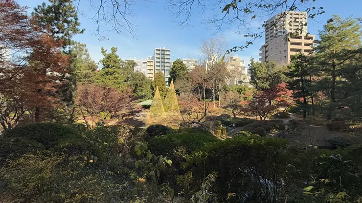 隨性的在公園裡吃午餐