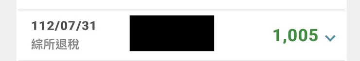 政府退稅明細