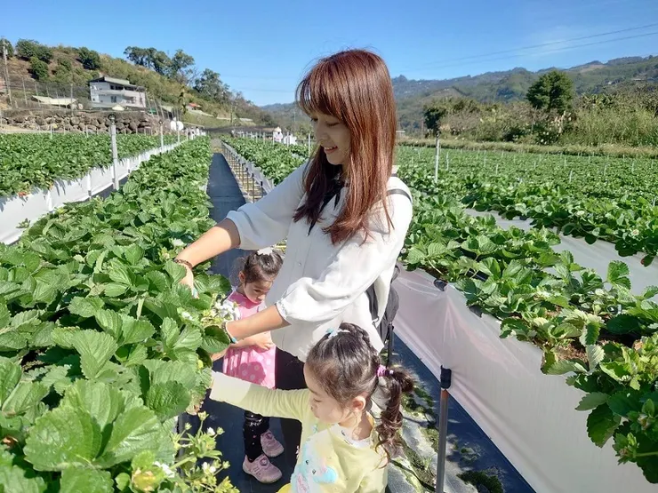 到大自然走走也是一個很好的紓壓方式喔