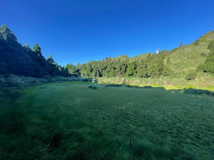 這裡是國家級濕地,沒有水的時候可就近觀察台灣水韭。