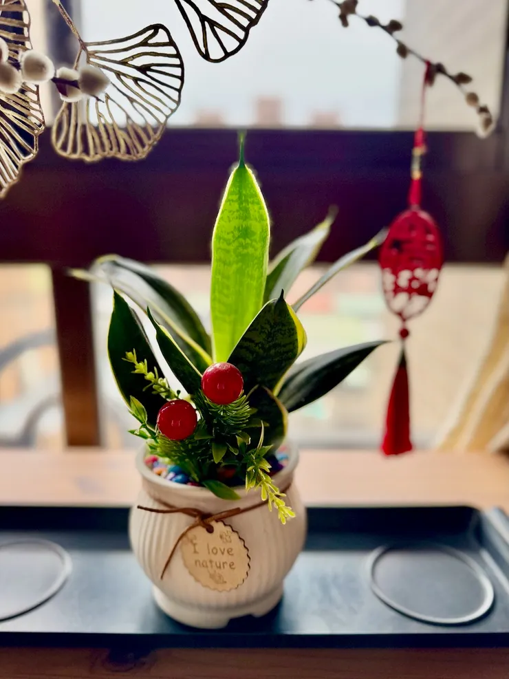  01.生生不息（北漂。長住拍攝）