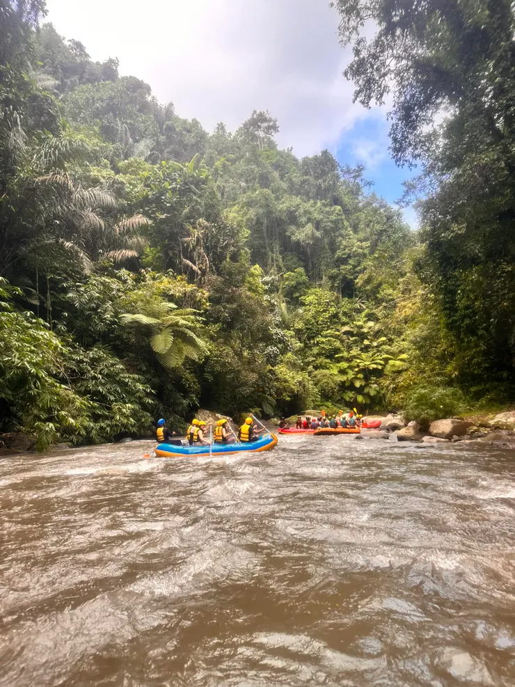 （楊方瑜提供）