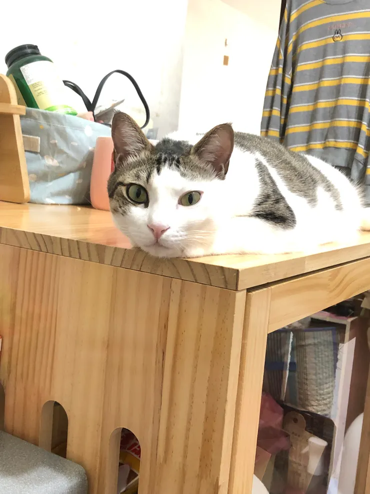 玲玲常常這樣一直看著心旅