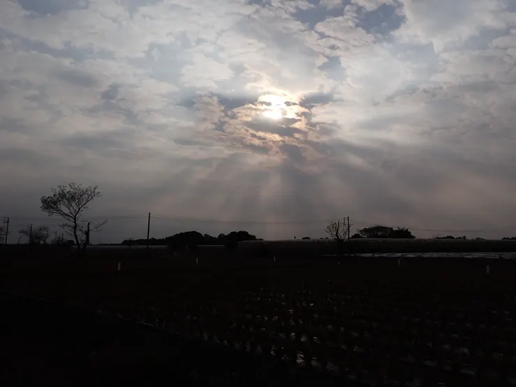 紀念屏東高樹的光