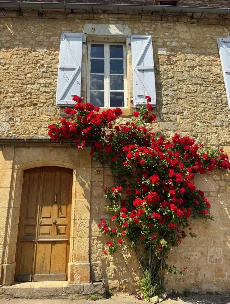 這樣的場景，重複又重複的出現