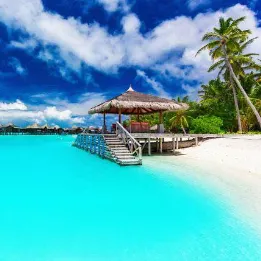 海島之星的沙龍