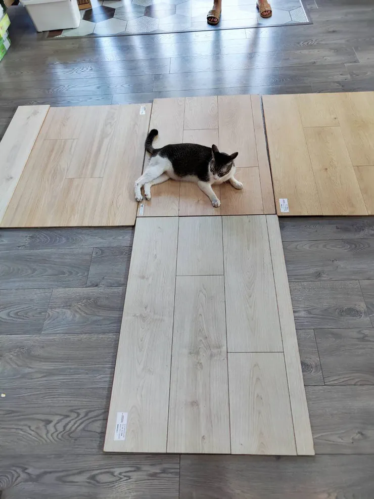 台中木地板推薦【佳翔木地板】木地板鋪設開箱│溫暖好踩超耐磨地