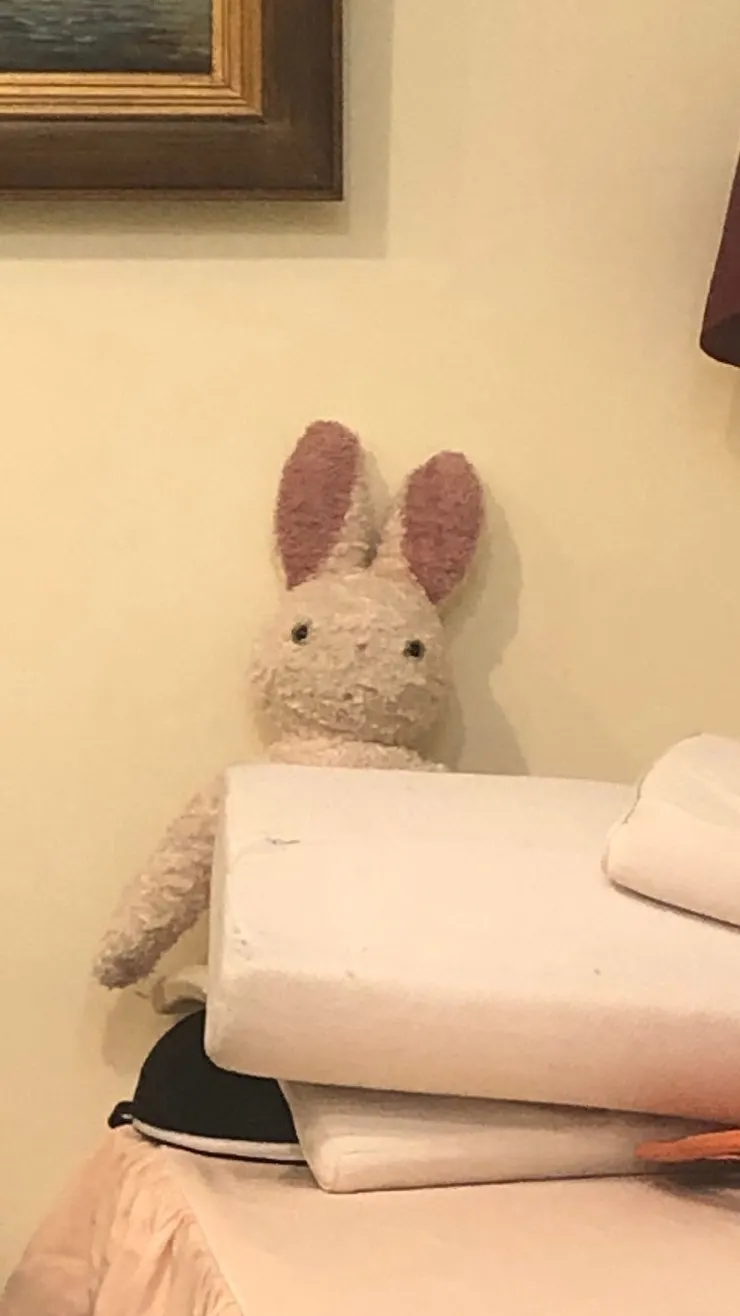 這隻是莊醫師放在診間的兔子，他有時候會用兔兔來跟病人講解睡覺姿勢。那天榮淑跟我說，有一次那隻兔子亂放在床上，莊醫師不喜歡這樣，他希望兔子坐好，我覺得好可愛哈哈哈。然後我其實一直覺得這隻兔子很像妮妮媽媽那隻