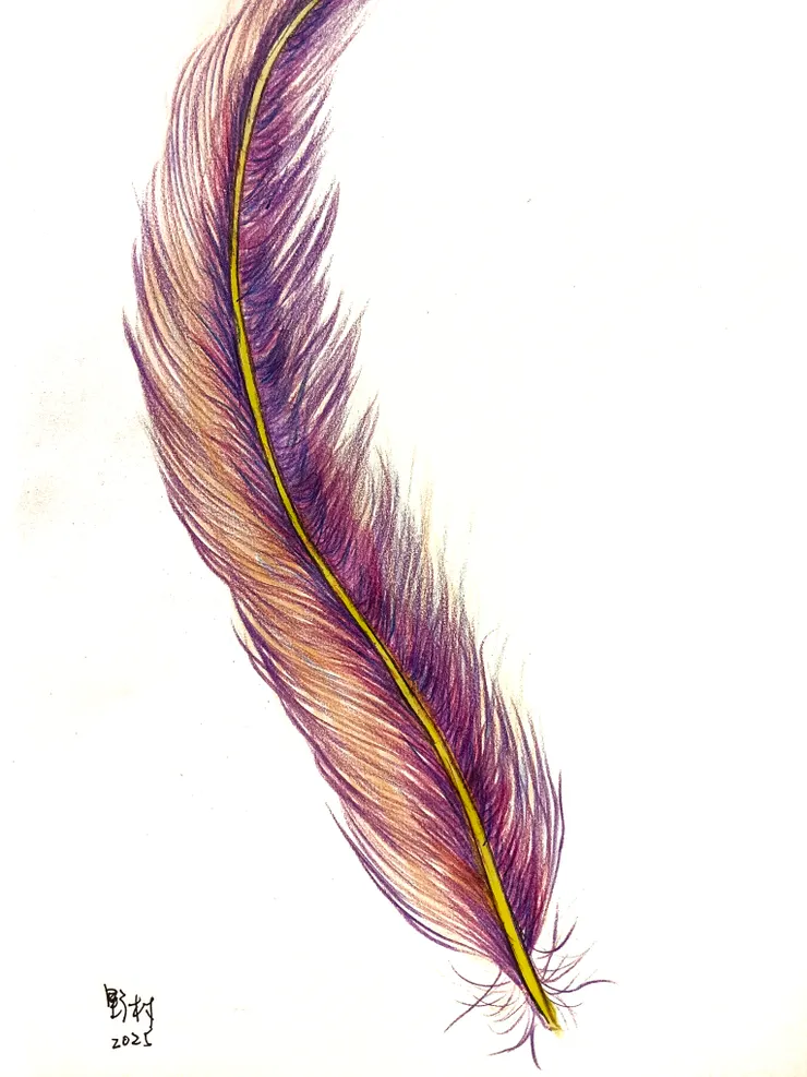 手繪 | 野村 祐 Yu Nomura 梵靈乾坤工作室提供