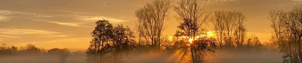 用行動。愛世界