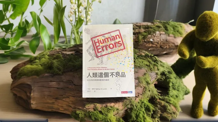 Photo by 梧椿、Pebblely、clipdrop