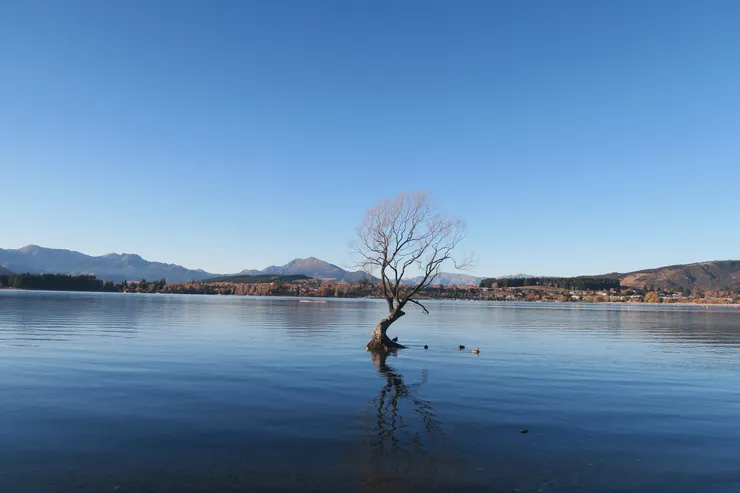 枯藤老樹昏鴉、小橋流水人家。(並沒有