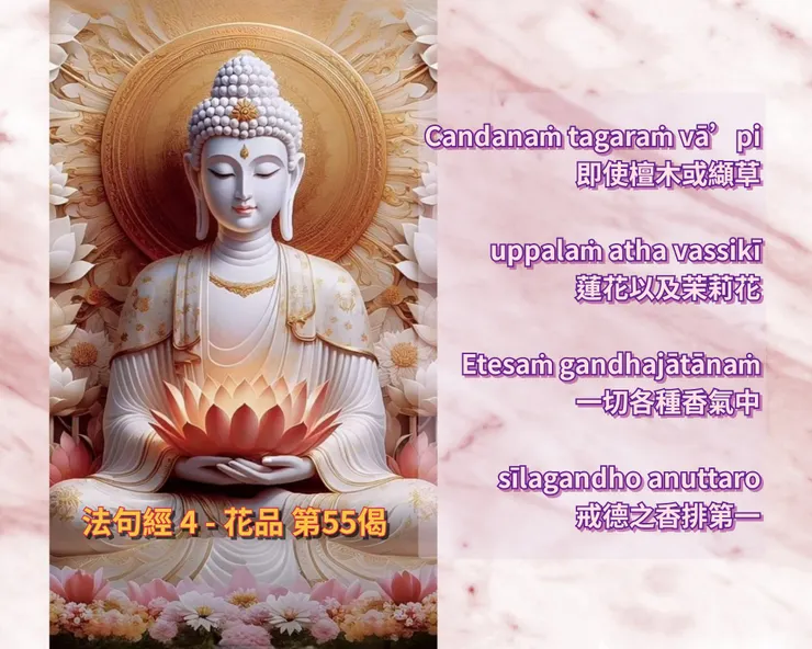 法句經 - 4 花品 | 第 55 偈