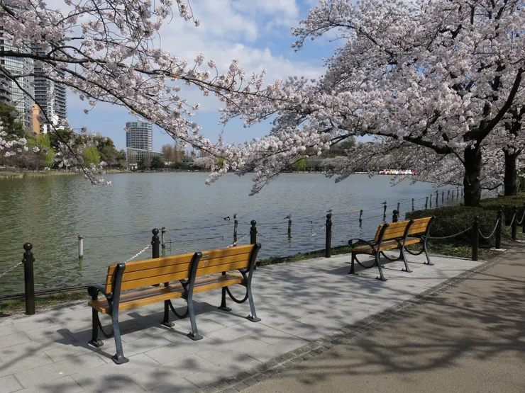 Source：Shutterstock