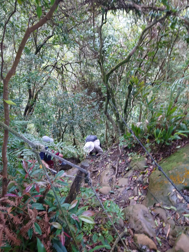 遇到反方向走過來的陌生人，排隊等他們先上攀上來