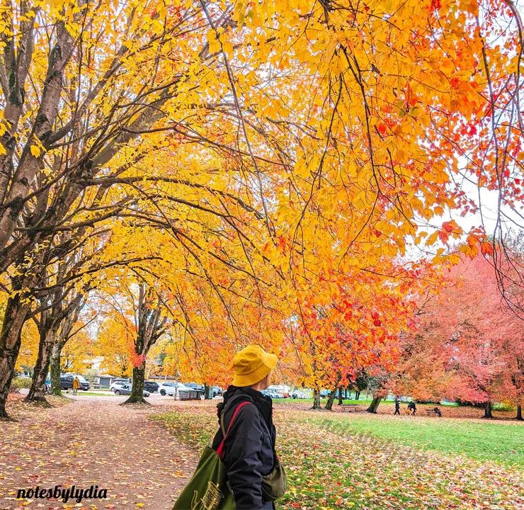 位於Trout Lake的楓紅景緻