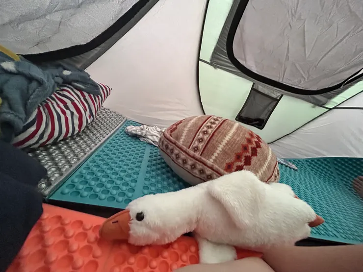 〈溫馨的內帳景致〉