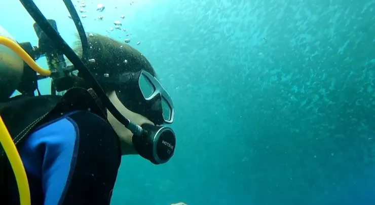 Gopro拍攝沙丁魚風暴