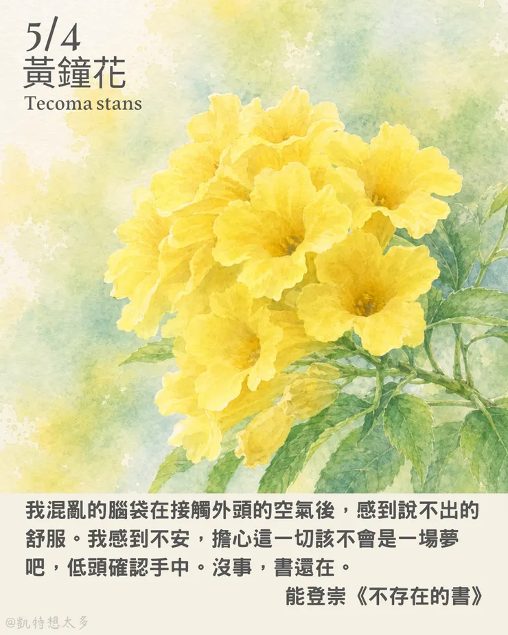 黃鐘花×能登崇《不存在的書》