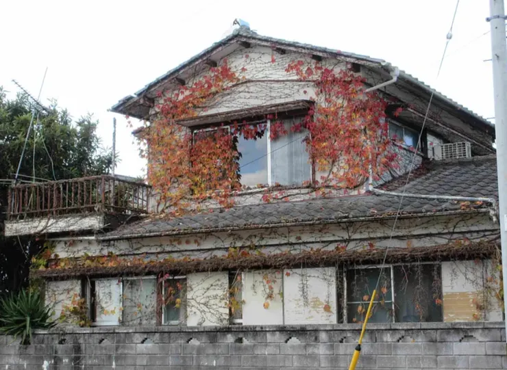 快要被楓葉包圍的住家