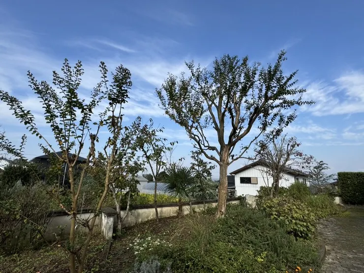 滿天之庭：藏於鄉間的日式庭園溫泉別墅