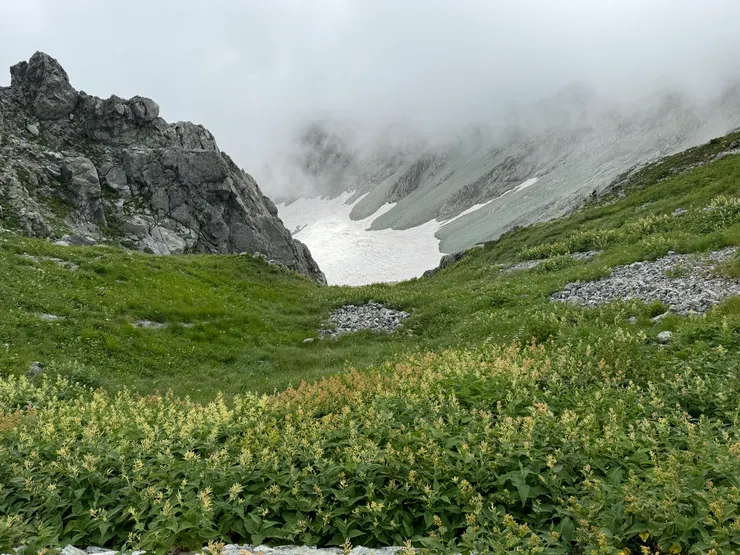 再一次欣賞夏日花卉與雪溪的演出