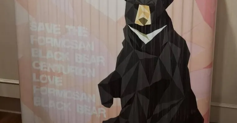 熊不落帝國的沙龍