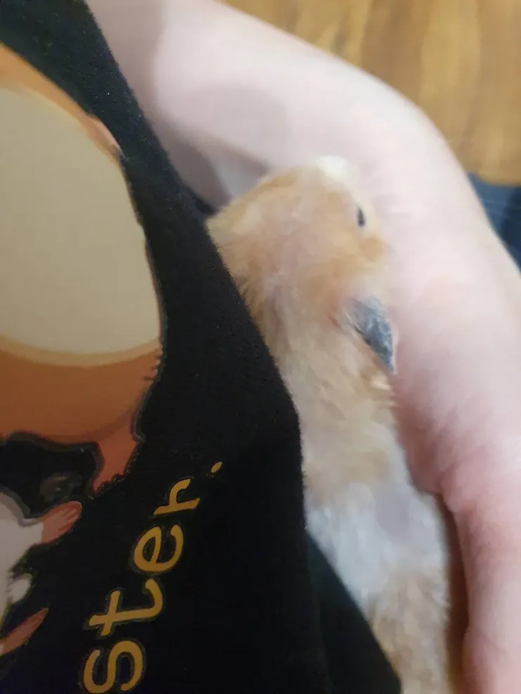 就勉強讓你抱一下啦，一下下喔