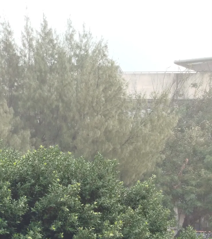 煙雨濛濛的天空