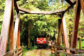終於再度有火車駛至水山巨木前木桁架橋