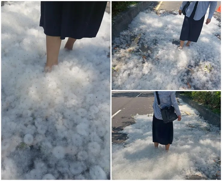 一整個玩心大發，來踩泡泡、來踏雪吧！