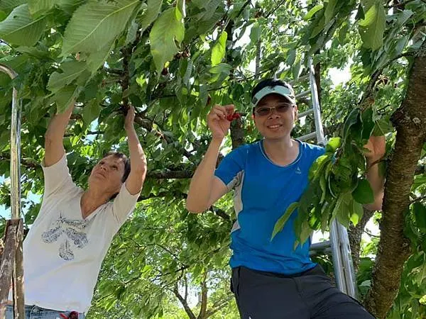 法國勃艮第酒鄉之行
