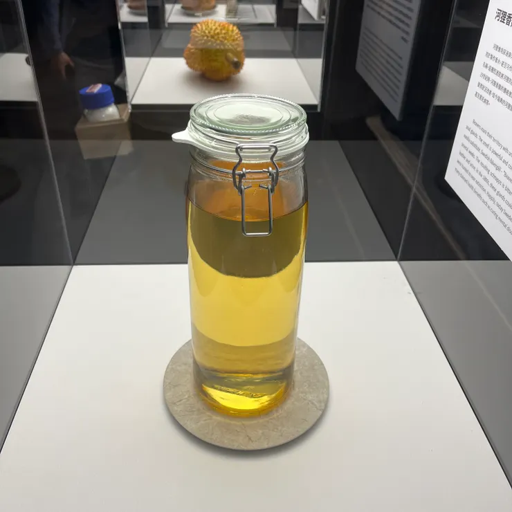 這瓶河狸香烈酒就是食物模型，用河狸腺體分泌物混入威士忌中，網路上也有找到杜松子酒的版本