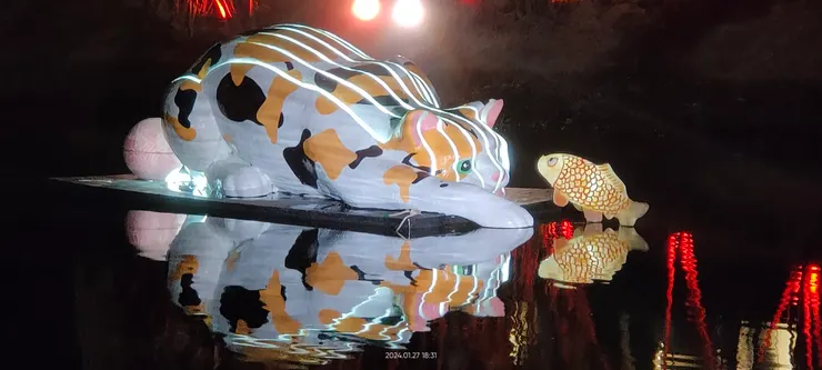 這貓咪超多人拍的