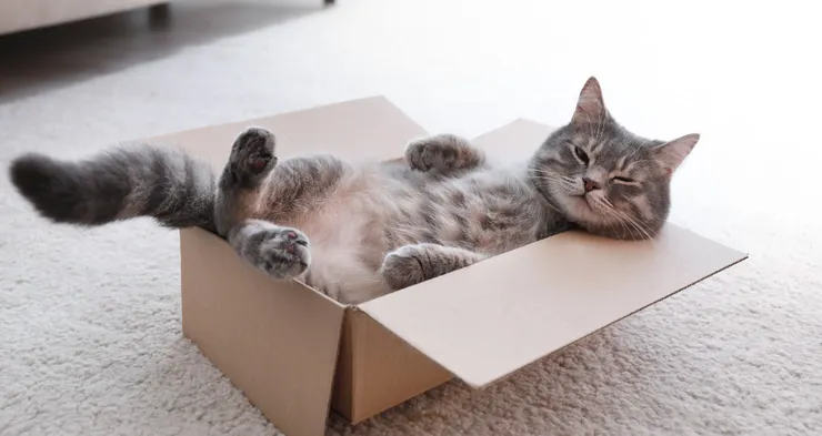 對了，就好像紙箱一樣的呼吸法～1,2,3,4