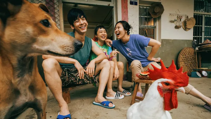 電影《莎莉》。