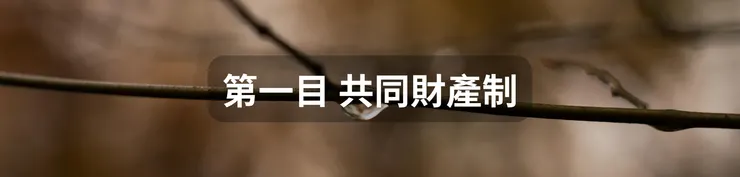 第一目 共同財產制