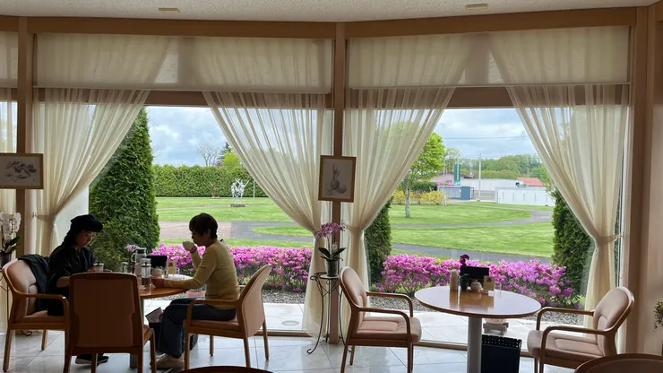 美食配美景太幸福。