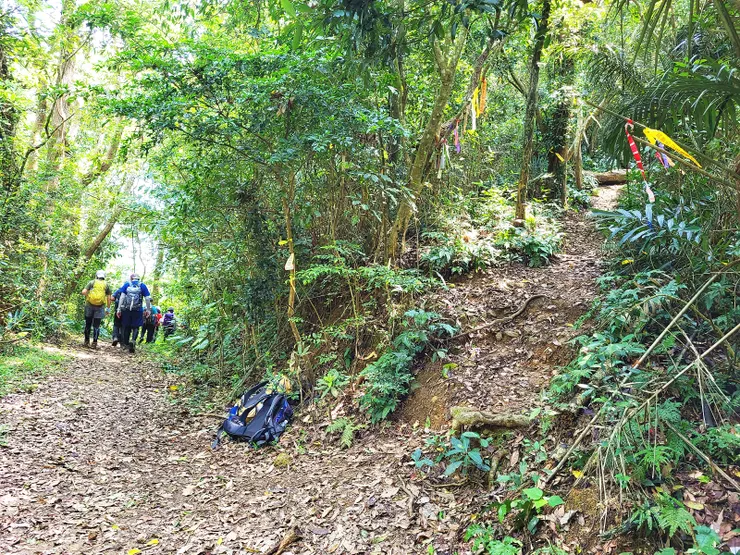 ▲金童山叉路，右上金童山不取，先直行至汶水山