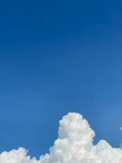 Freddy 的家長週記：Week 006，皮皮貓的一週