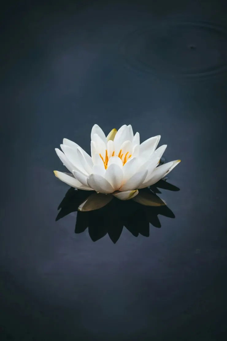 Photo by Nong on Unsplash