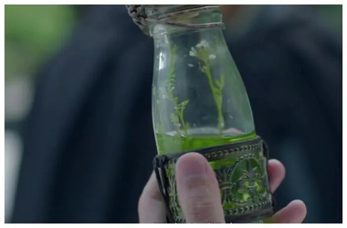 取自《琅琊榜》