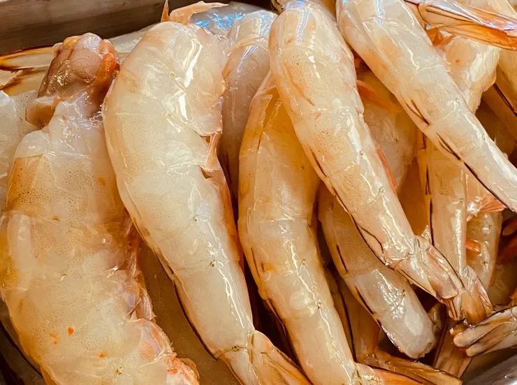 本來是不想開背去沙腸的😎