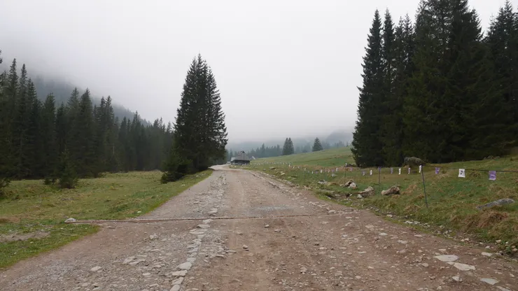 走了一大段路之後，會看到一排房子和大草原，就代表抵達Dolina Chochołowska了
