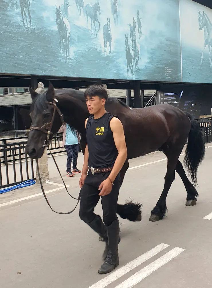 路上遇到一匹皮毛黑得發亮的駿馬,馬蹄聲達達作響,氣勢逼人好帥啊!