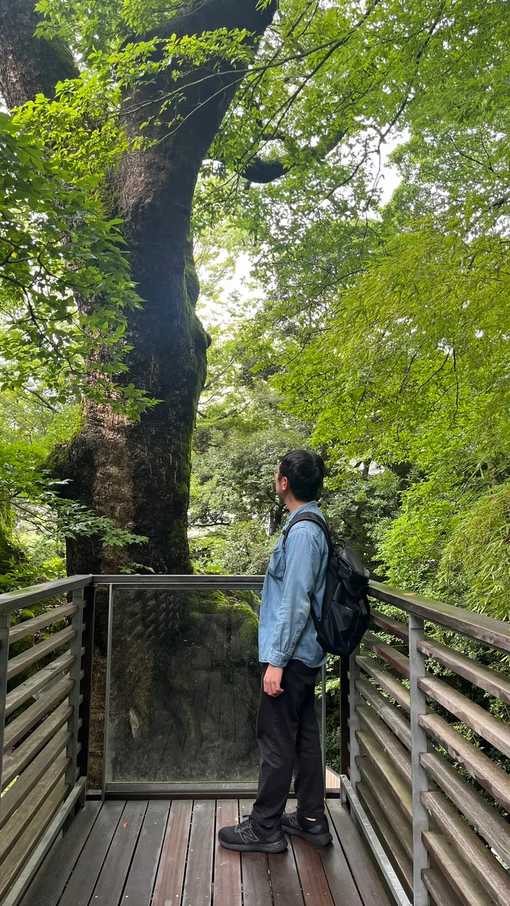 當然也有腳架可拍照。