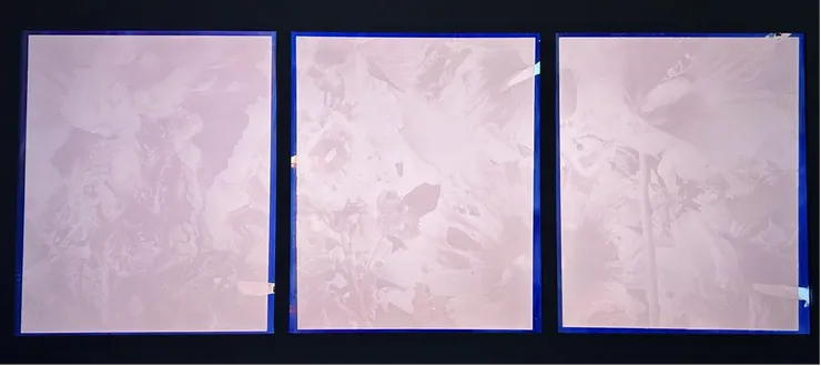 安娜·里德勒，《慢慢安靜地淡去 Slowly, Fading, Quietly》：拍立得