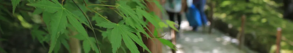 九轉的沙龍