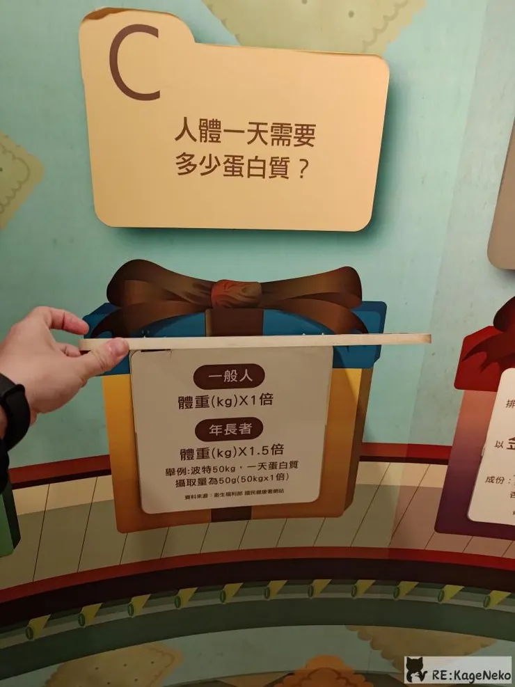 人體一天需要多少蛋白質